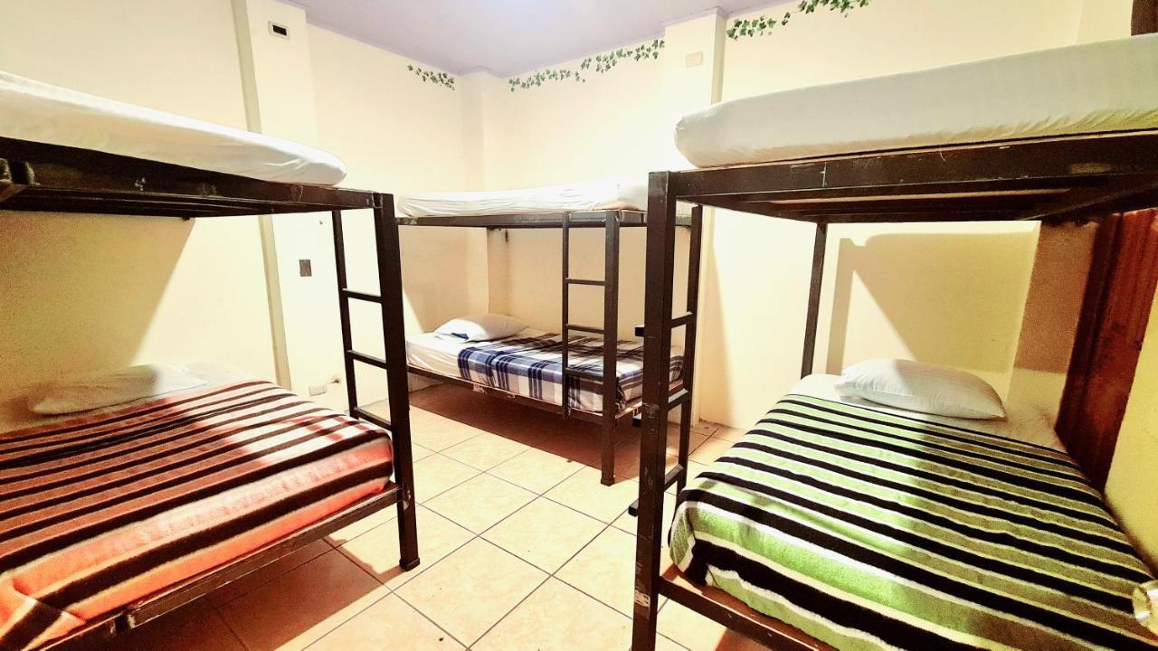Eco Hotel Puerto Urbano 436 San José Exteriör bild