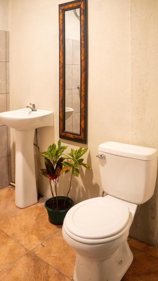 Eco Hotel Puerto Urbano 436 San José Exteriör bild
